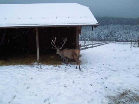 Ausflug - Stammtisch 8. Dezember 2012